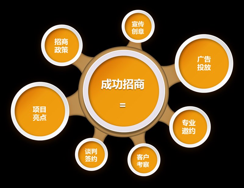 从上海潇潇实业看现代企业的发展模式